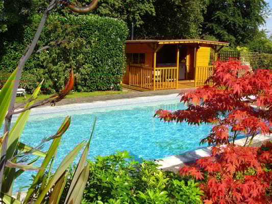 Serene outdoor pool area with wooden cabin and vibrant plants