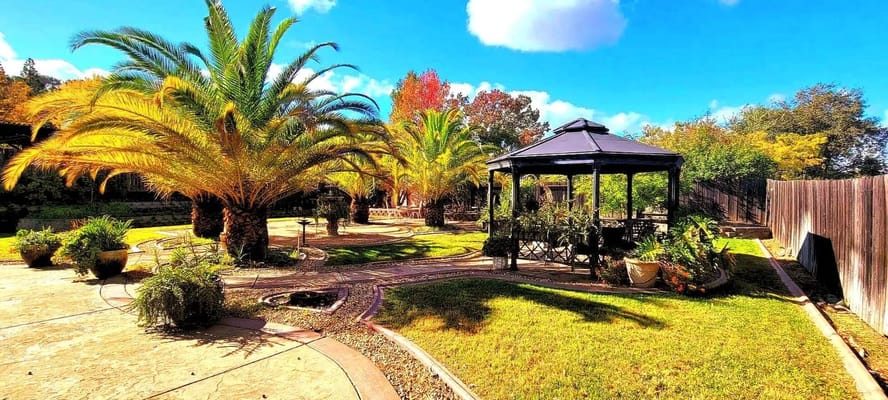 Beautiful landscaped outdoor space with gazebo and palm trees