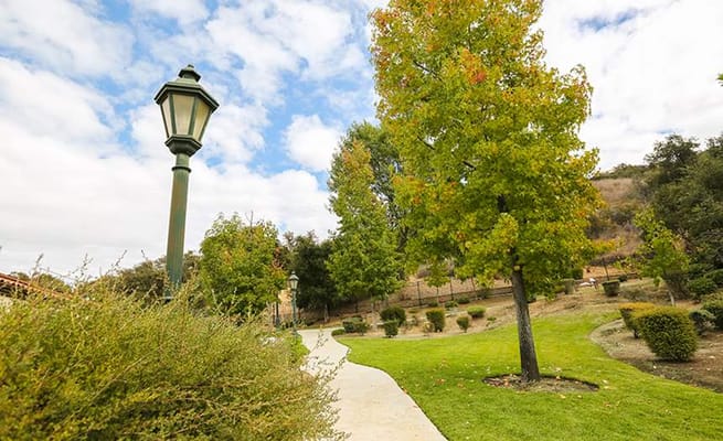 Pathway through a landscaped garden with a lamp post and colorful trees