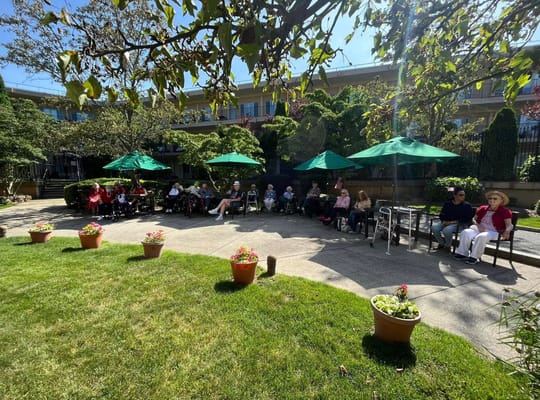 Seniors seated under green umbrellas in a garden area