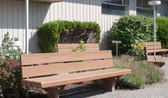 Outdoor seating area with benches and plants