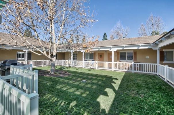 Outdoor courtyard with a tree and seating area