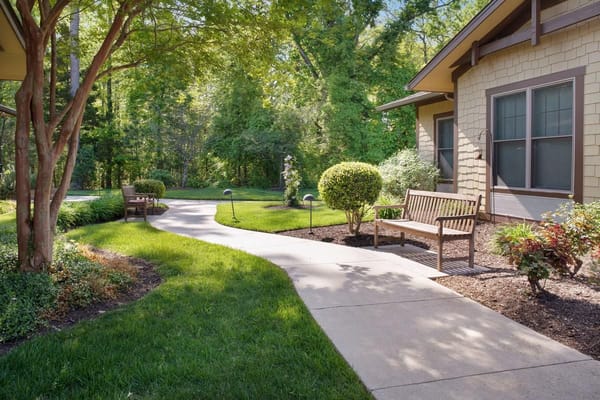 Pathway through a landscaped garden with benches