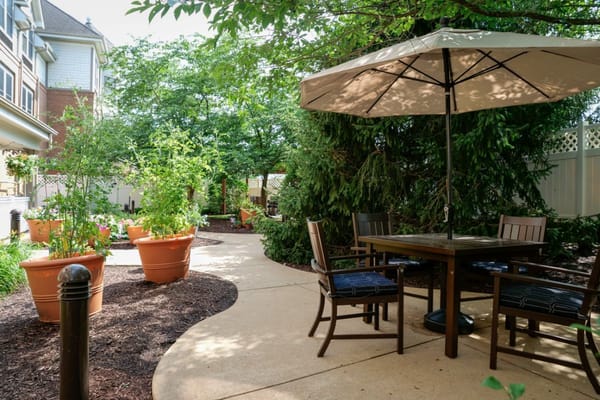 Outdoor garden area with seating and plants