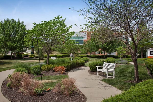 A serene garden path with benches and lush greenery.