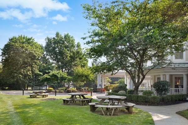 Outdoor picnic area with tables and greenery