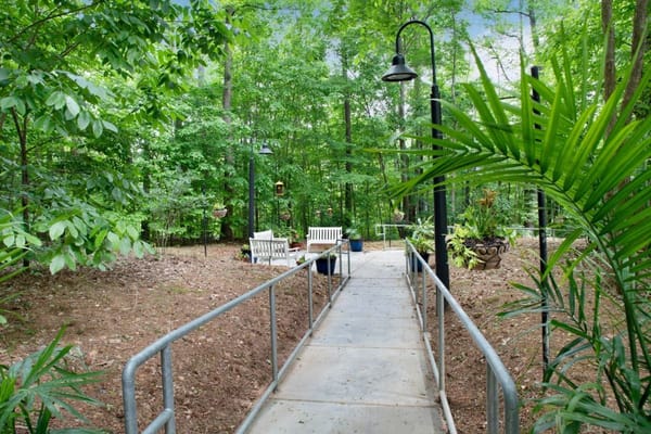 A concrete path leading through a green garden with benches.