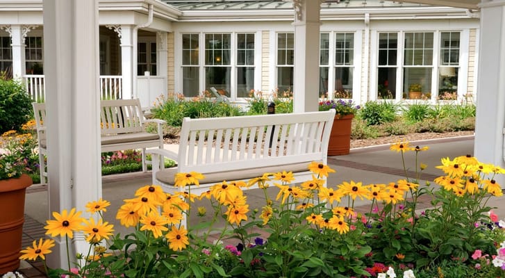 White wooden bench surrounded by vibrant flowers in a garden