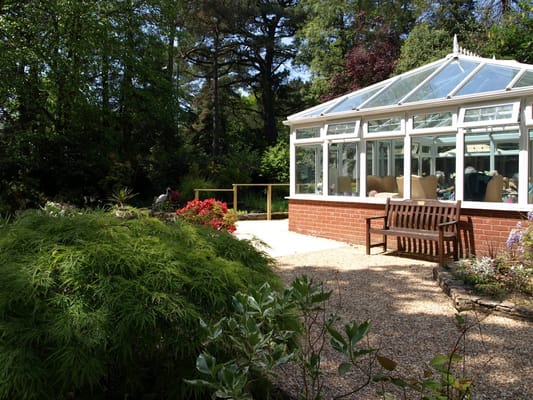 A sunlit conservatory with a wooden bench and lush greenery.