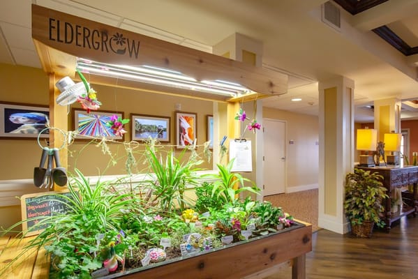 Indoor gardening space with plants and gardening tools