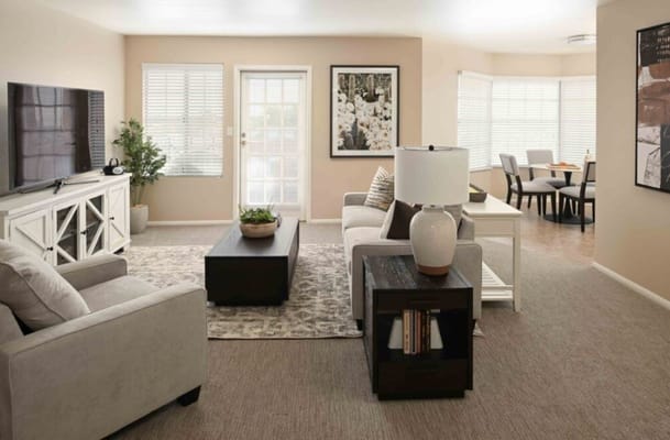 Bright living room featuring a sofa, rug, and television.
