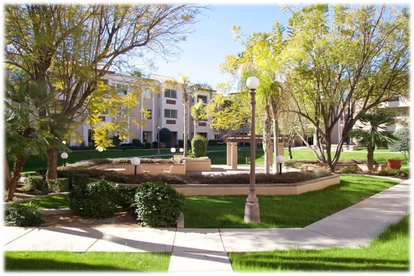 Lush garden area with pathways and seating at The Palms at Sun City.