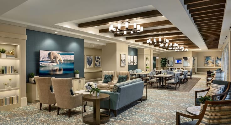 Cozy lounge area with armchairs and a large TV displaying a polar bear.