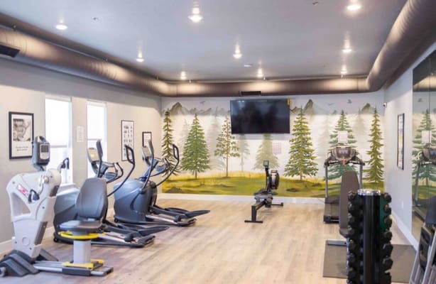 Fitness center with exercise equipment and a mural