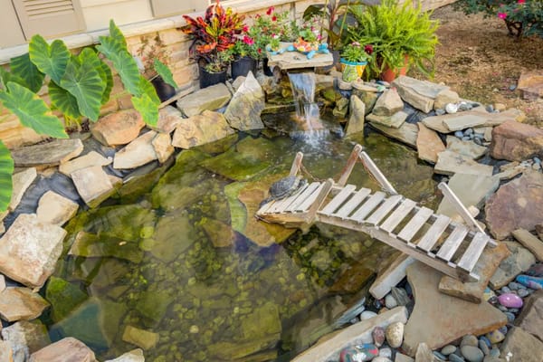 A wooden bridge over a tranquil pond surrounded by plants and rocks.