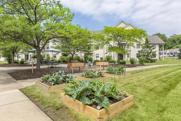 Outdoor garden area with raised beds and facility buildings