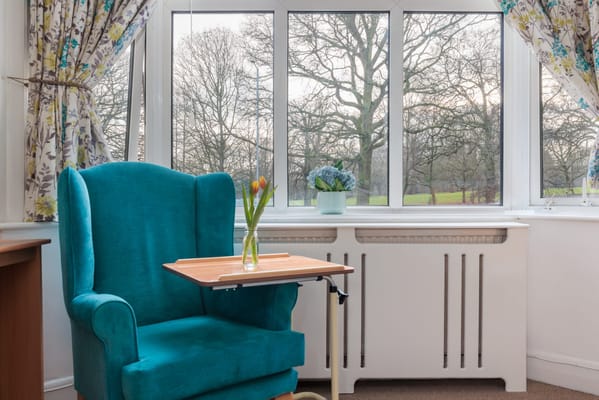Cozy interior with an armchair and a view of trees