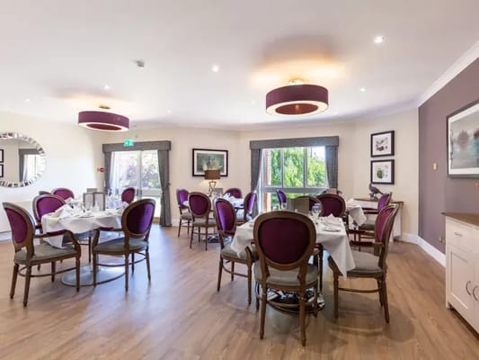 Elegant dining room with round tables and purple chairs