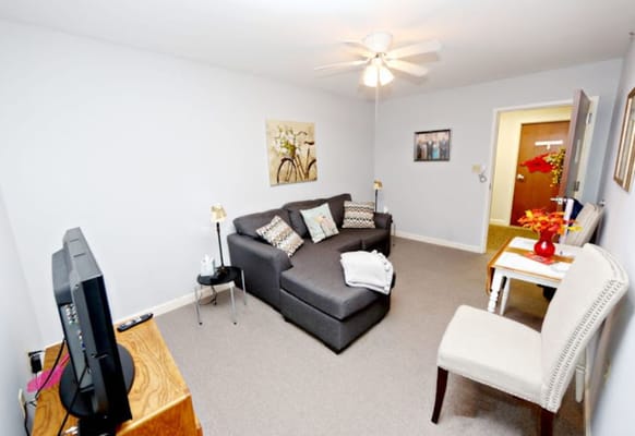 Comfortable living room with a couch and decorative elements