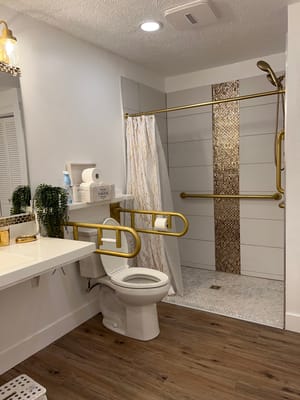 Accessible bathroom with shower and grab bars