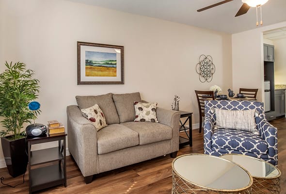 Cozy living room with comfortable furniture