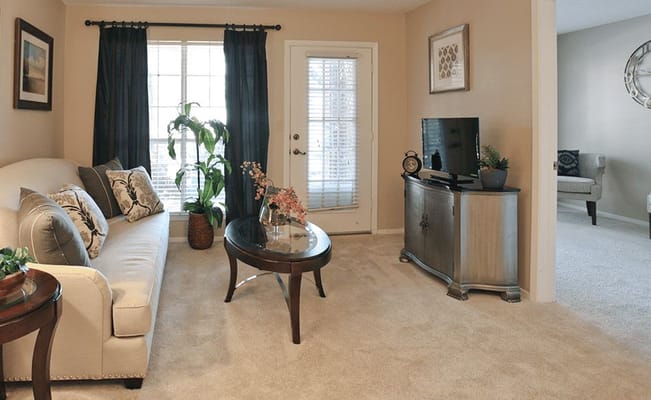 Bright living room area with comfortable seating