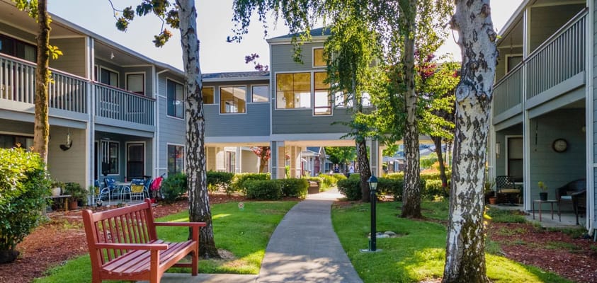 Lush outdoor area with walking path and seating