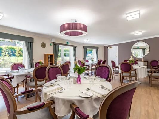 Elegant dining room set for a meal