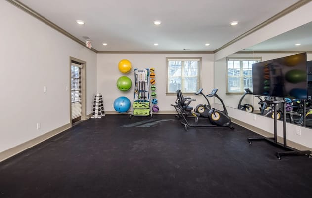 Well-equipped fitness room with exercise equipment and balls