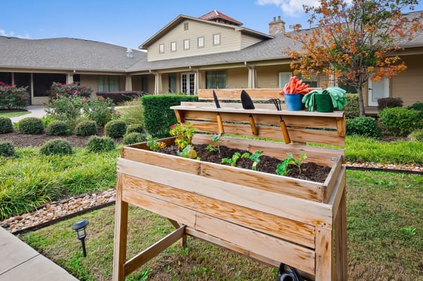 Raised garden beds with tools and plants in the foreground.