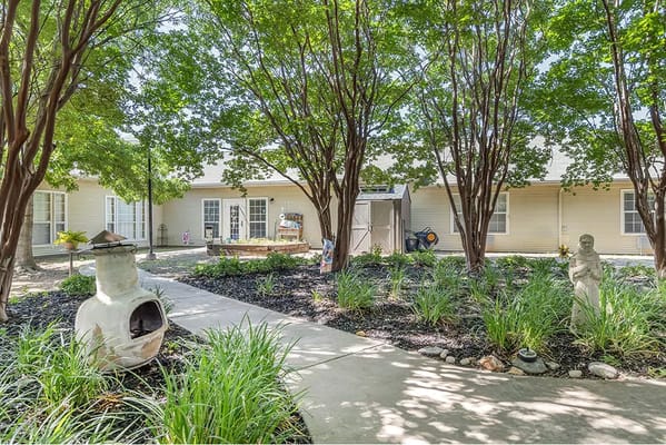 Pathway through a garden area with trees