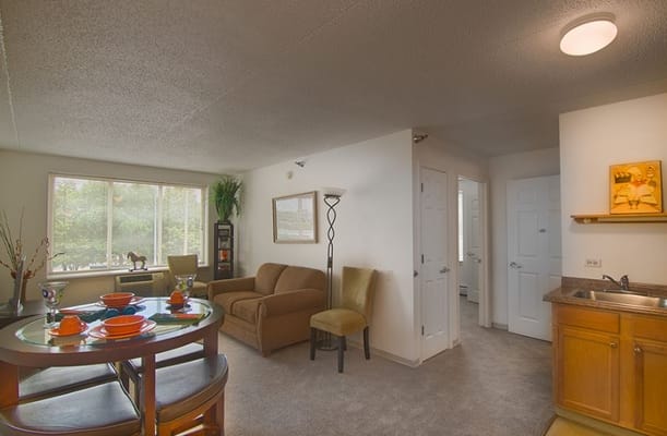 Bright living room with dining area and kitchenette