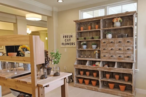 Interior view of a flower display in a sunny room