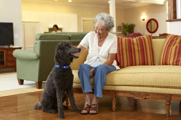 Resident petting a dog in a cozy lounge area