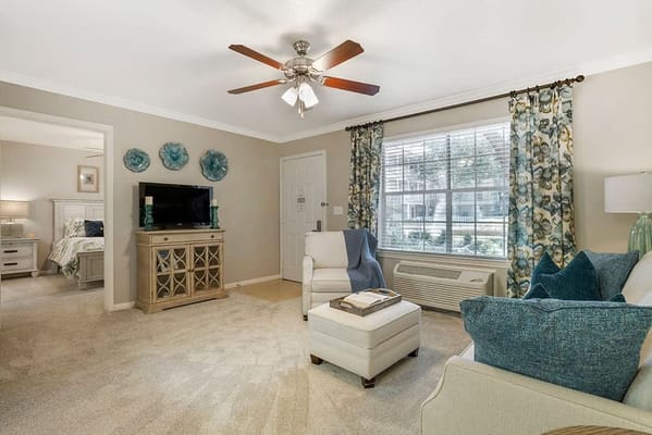 Bright living room with comfortable furnishings