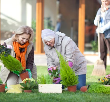 Residents gardening in a sunny outdoor area