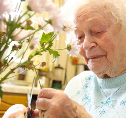 Senior woman arranging flowers indoors