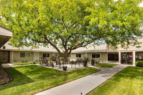 Outdoor seating area with a large tree in a courtyard