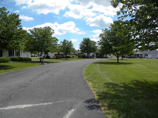 Curved driveway lined with trees at the facility