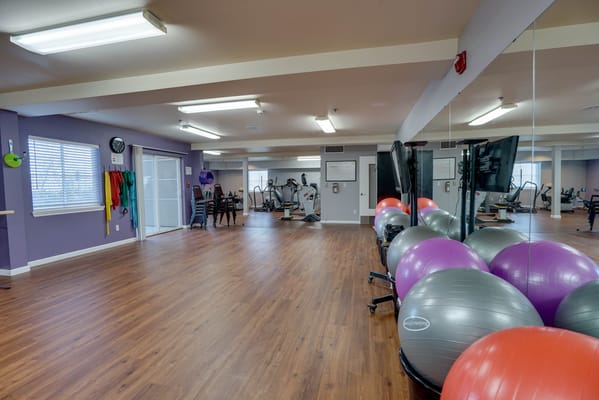 Interior view of a fitness area with exercise balls