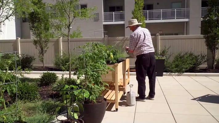 Resident gardening in an outdoor space