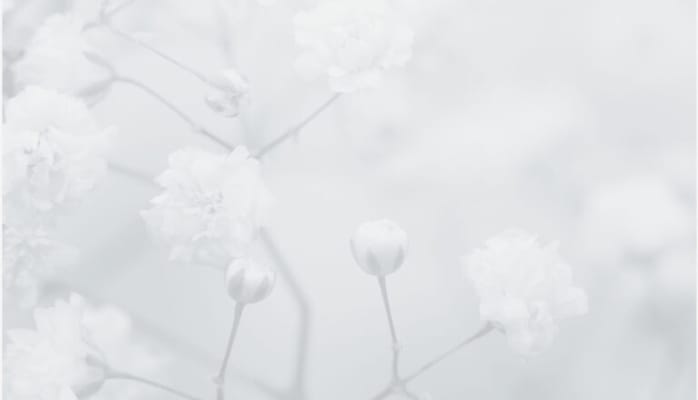 Grace Manor at North Park