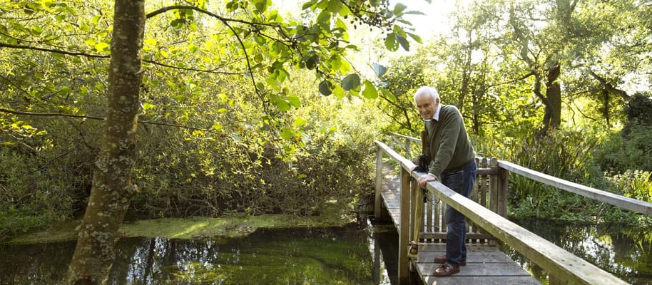 An elderly man stands on a bridge over a pond.