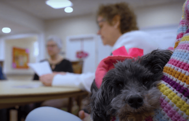 Glass Peaks Senior Living