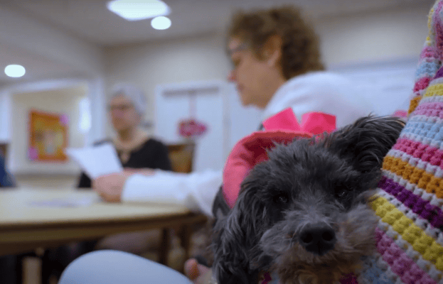 Residents enjoying time with a small dog in a cozy common area