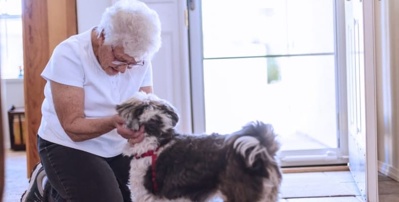 Resident interacting with a small dog in the lobby