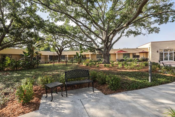 Outdoor garden space with benches and trees