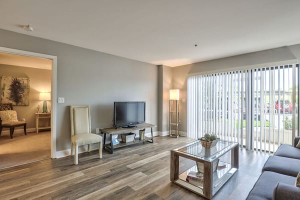 Bright interior living area with modern furnishings