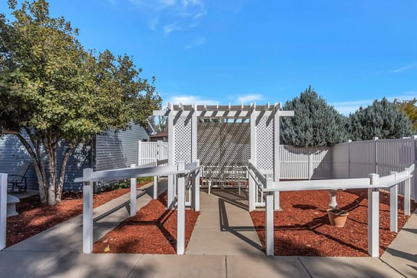 Pathway through a landscaped outdoor area with trellis