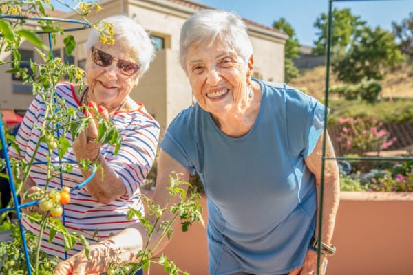 The Reutlinger Community